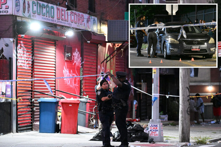 innocent-nyc-woman,-33,-bleeds-out-in-bar-bathroom-after-being-struck-by-stray-bullet
