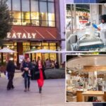 bougie-restaurant-atop-california-eataly-shut-down-as-cockroaches-found