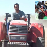 california-farmer-who-sparked-frenzied-crowds-with-free-nectarine-stunt-ordered-to-destroy-fruit-trees