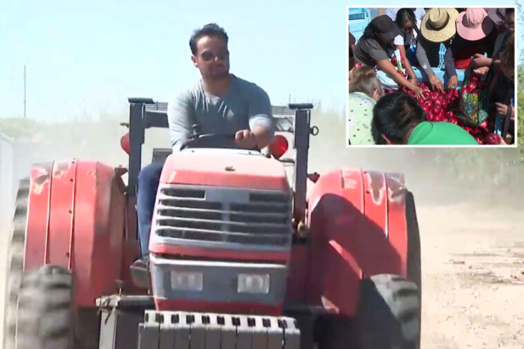 california-farmer-who-sparked-frenzied-crowds-with-free-nectarine-stunt-ordered-to-destroy-fruit-trees