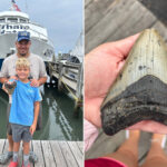 massive-tooth-of-3.6m-year-old-megalodon-—-largest-shark-to-ever-live-—-discovered-on-jersey-shore