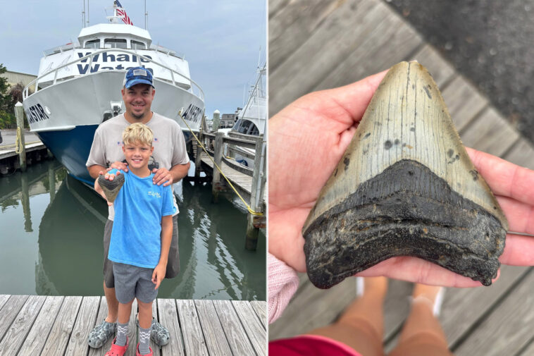 massive-tooth-of-3.6m-year-old-megalodon-—-largest-shark-to-ever-live-—-discovered-on-jersey-shore