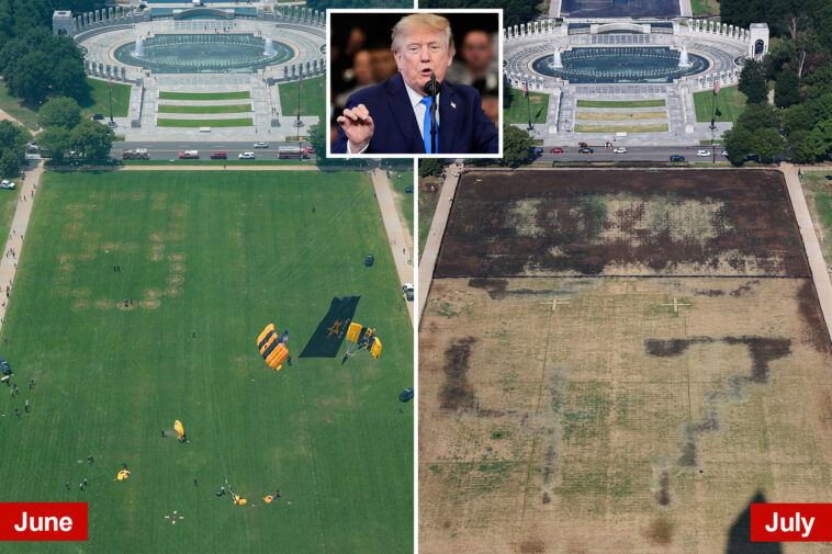 trump-blames-vandals-for-dead-grass-on-national-mall-where-he-hosted-4th-of-july-celebration