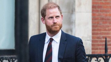 prince-harry’s-‘the-wasp’-rival-stepping-down-but-may-remain-‘a-voice-in-the-king’s-ear’:-expert