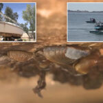 boat-covered-in-invasive-species-intercepted-before-wreaking-havoc-on-california-lake