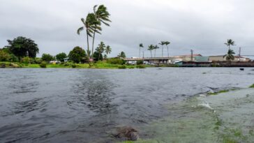 death,-thousands-without-electricity-as-hurricane-lala-misses-hawaii’s-big-island-by-hair’s-breadth
