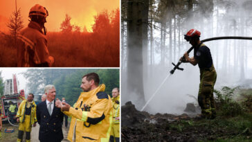 devastating-belgian-wildfire-moves-toward-germany-as-blazes-break-out-in-greece,-france:-‘will-take-decades-to-recover’