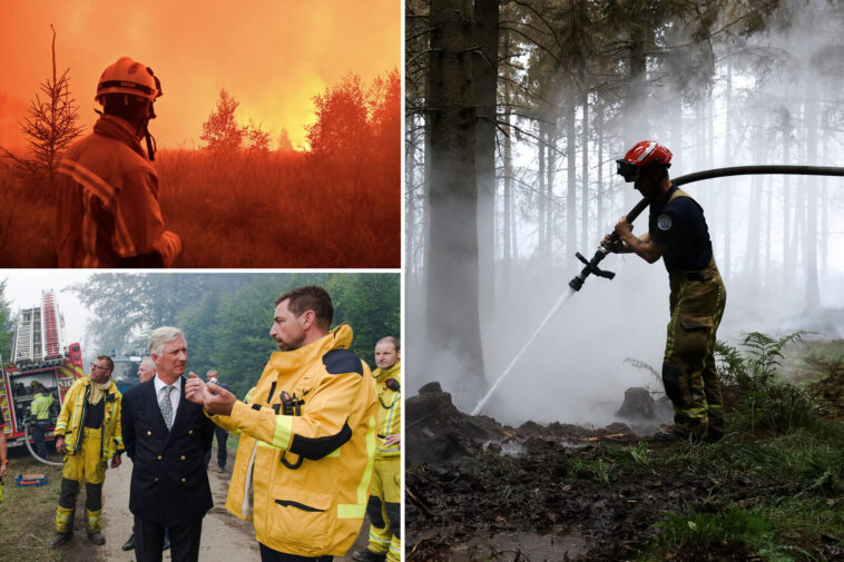 devastating-belgian-wildfire-moves-toward-germany-as-blazes-break-out-in-greece,-france:-‘will-take-decades-to-recover’