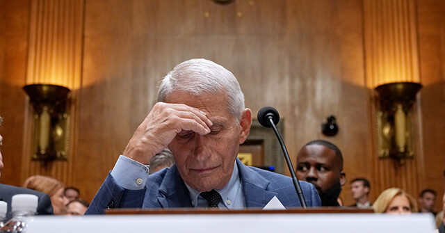 fauci’s-phone-reveals-official-at-niaid’s-vaccine-research-center-warned-‘avoid-vaccination-in-first-trimester’-in-2021