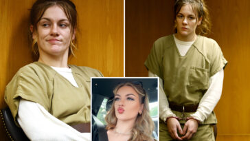 alleged-sicko-nj-babysitter-accused-of-sexually-assaulting-tot-could-land-sweetheart-deal