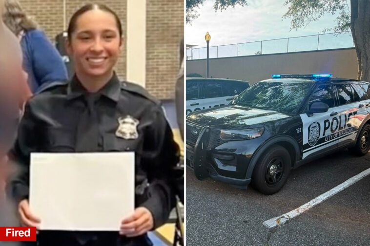 south-carolina-cop,-24,-canned-for-using-flock-cameras-to-run-ex’s-plate-166-times
