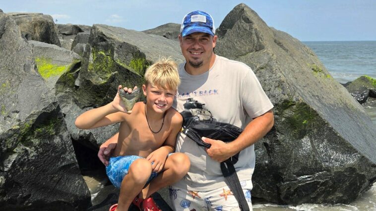 shocking-prehistoric-discovery-on-nj-beach-‘100%’-came-from-colossal-ancient-predator