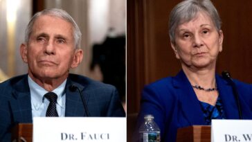 newly-released-covid-email-shows-fda-head-warning-fauci-of-vax-side-effects,-then-eerie-4-word-response-from-the-disgraced-covid-chief