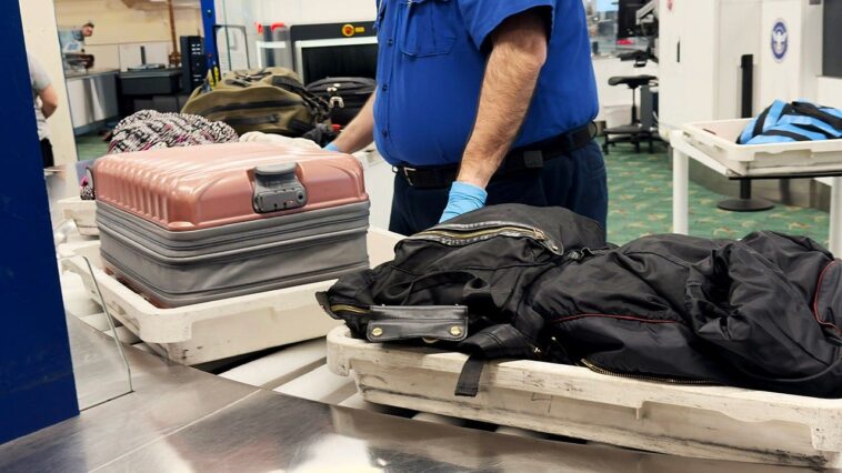 man-busted-after-customs-uncovers-bizarre-cargo-hidden-inside-22-pairs-of-socks