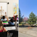 portland-mother-barred-from-child’s-graduation-after-pushing-back-on-gender-curriculum