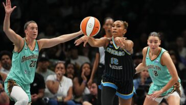 liberty-getting-dominated-by-sky-rookie-only-puts-spotlight-on-potential-achilles-heel