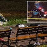 woman,-30,-fatally-stabbed-in-brooklyn-park