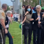 warrant-issued-for-jill-stein-after-ex-presidential-candidate-skipped-court-date-over-alleged-cop-assault-at-anti-israel-protest