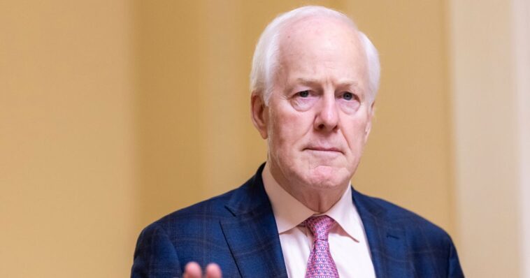 the-swamp-is-local:-cornyn-staffer’s-defection-to-talarico-reveals-why-conservatives-are-constantly-betrayed