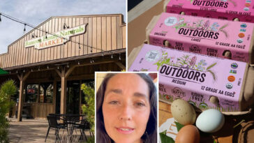 california-egg-producer-id’d-as-source-of-salmonella-outbreak:-health-officials