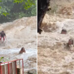 harrowing-video-shows-selfie-taking-tourists-being-washed-away-near-thailand-hotspot