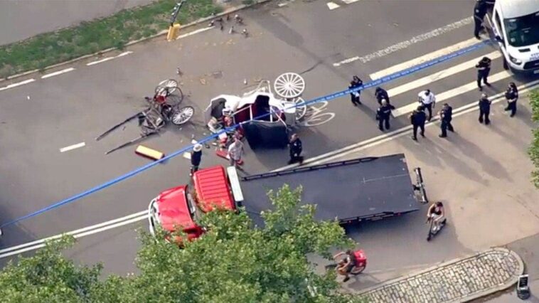 family-seeks-$105-million-from-new-york-city-after-teen’s-fatal-central-park-carriage-ride
