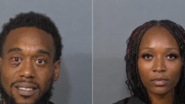 cruise-ship-chaos:-drunk-ohio-couple-allegedly-punches-family,-including-9-year-old
