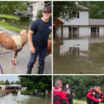 video-—-indiana:-100-people,-46-pets,-and-20-horses-rescued-from-devastating-floods