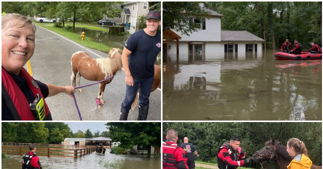 video-—-indiana:-100-people,-46-pets,-and-20-horses-rescued-from-devastating-floods