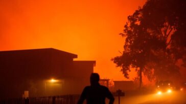france-wildfires:-migrant-with-deportation-order-charged-with-robbing-evacuated-homes