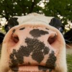 left-wing-govt-latest:-britain’s-new-farming-minister-fainted-at-sight-of-meat