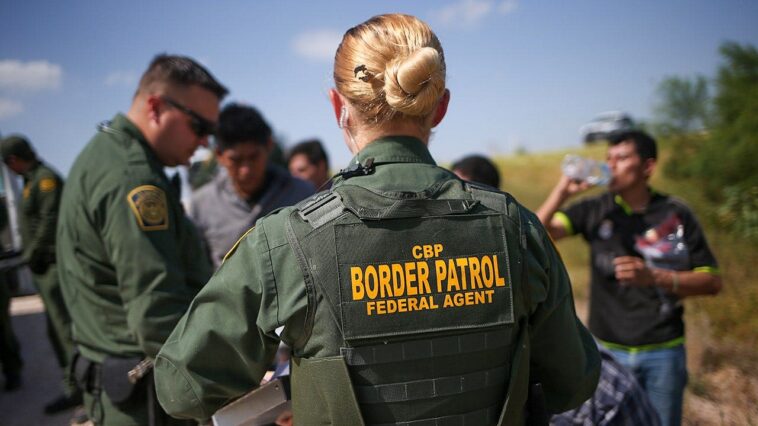 san-diego-padres-minor-league-catching-coordinator-oswaldo-pirela-detained-by-border-patrol-in-texas