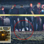 horror-discovery-on-the-sand-at-world-famous-la-beach