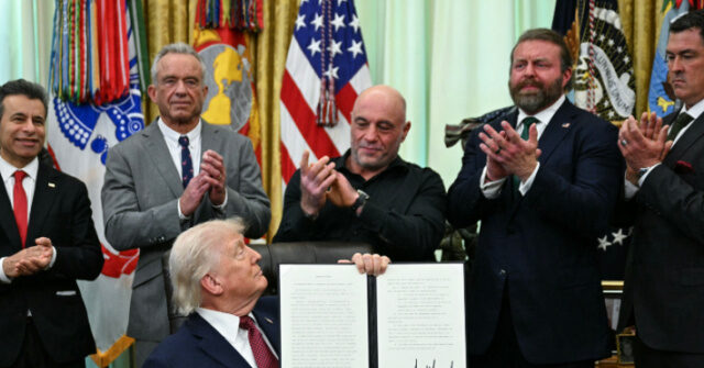 trump:-university-of-miami-gives-ibogaine-investigational-drug-application-to-federal-government