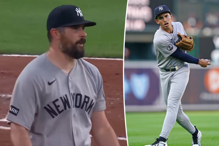 carlos-rodon-has-nsfw-reaction-to-george-lombard’s-highlight-reel-defensive-play