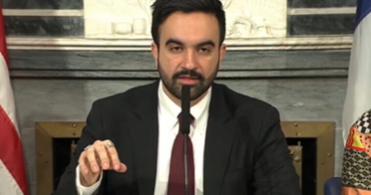 trouble-in-paradise:-zohran-mamdani-ripped-by-liberal-city-council-members-for-pulling-no-show-for-hearing-on-controversial-new-tax-(video)