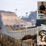 sick-way-smugglers-snuck-vipers,-caimans-and-crocodile-over-us-mexico-border