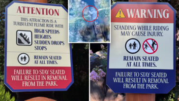 disneyland-threatens-guests-with-park-removal-after-young-boy’s-dangerous-act