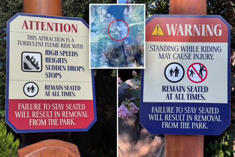 disneyland-threatens-guests-with-park-removal-after-young-boy’s-dangerous-act