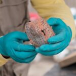 archaeologists-unveil-skeletal-remains-they-believe-to-be-part-of-a-ritual-offering