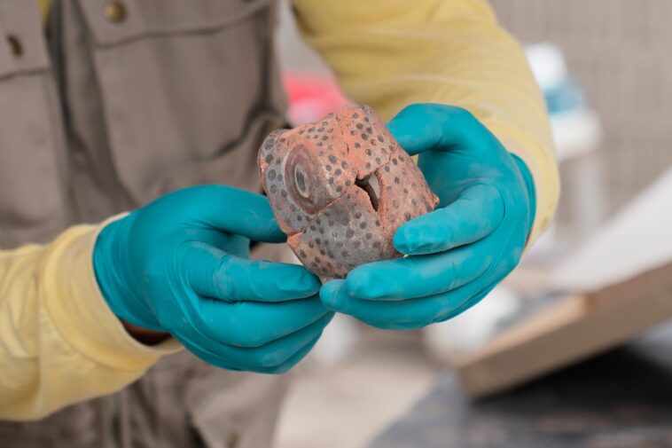 archaeologists-unveil-skeletal-remains-they-believe-to-be-part-of-a-ritual-offering