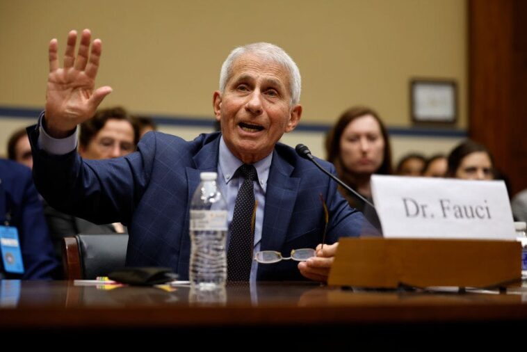 fauci-adviser-pleads-guilty-in-covid-records-case