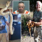 animal-planet-star-ed-cassano-killed-in-hit-and-run-while-looking-at-snake