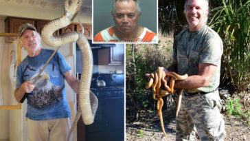 animal-planet-star-ed-cassano-killed-in-hit-and-run-while-looking-at-snake