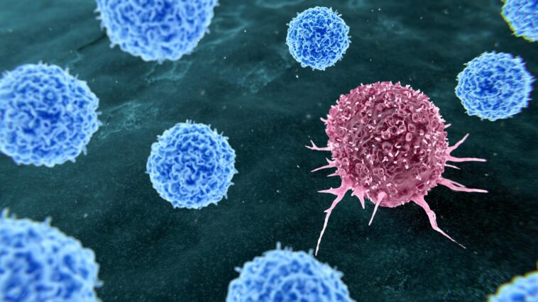 new-vaccine-shows-early-signs-of-stopping-cancer-spread