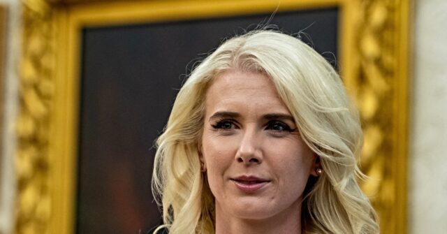 nolte:-sleazy-cnn-falsely-accuses-natalie-harp-of-‘jumping-into-the-trunk’-of-a-‘car’