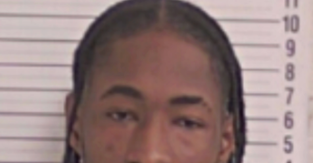exclusive:-ice-seeks-custody-of-jamaican-illegal-alien-accused-of-florida-burger-king-stabbing