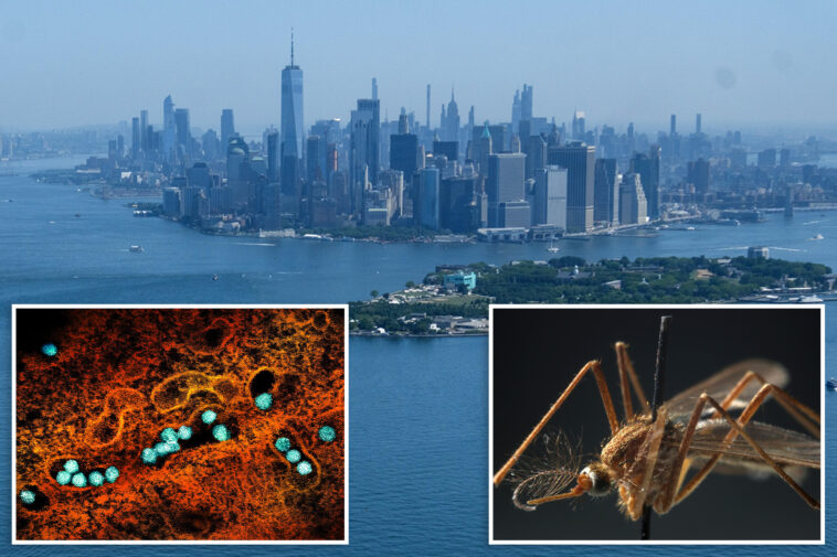 first-2026-case-of-dangerous-west-nile-virus-detected-in-nyc:-officials