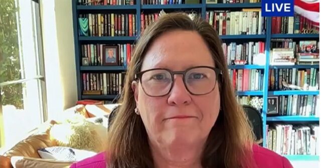 dem-rep.-julie-johnson-on-dsa:-dems-‘care-about-big-values’,-disagree-on-some-methods