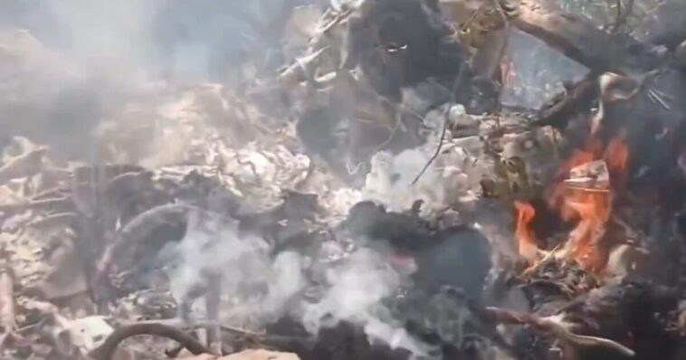 seven-people,-including-five-americans-and-a-telemundo-executive,-die-in-helicopter-crash-in-kenya